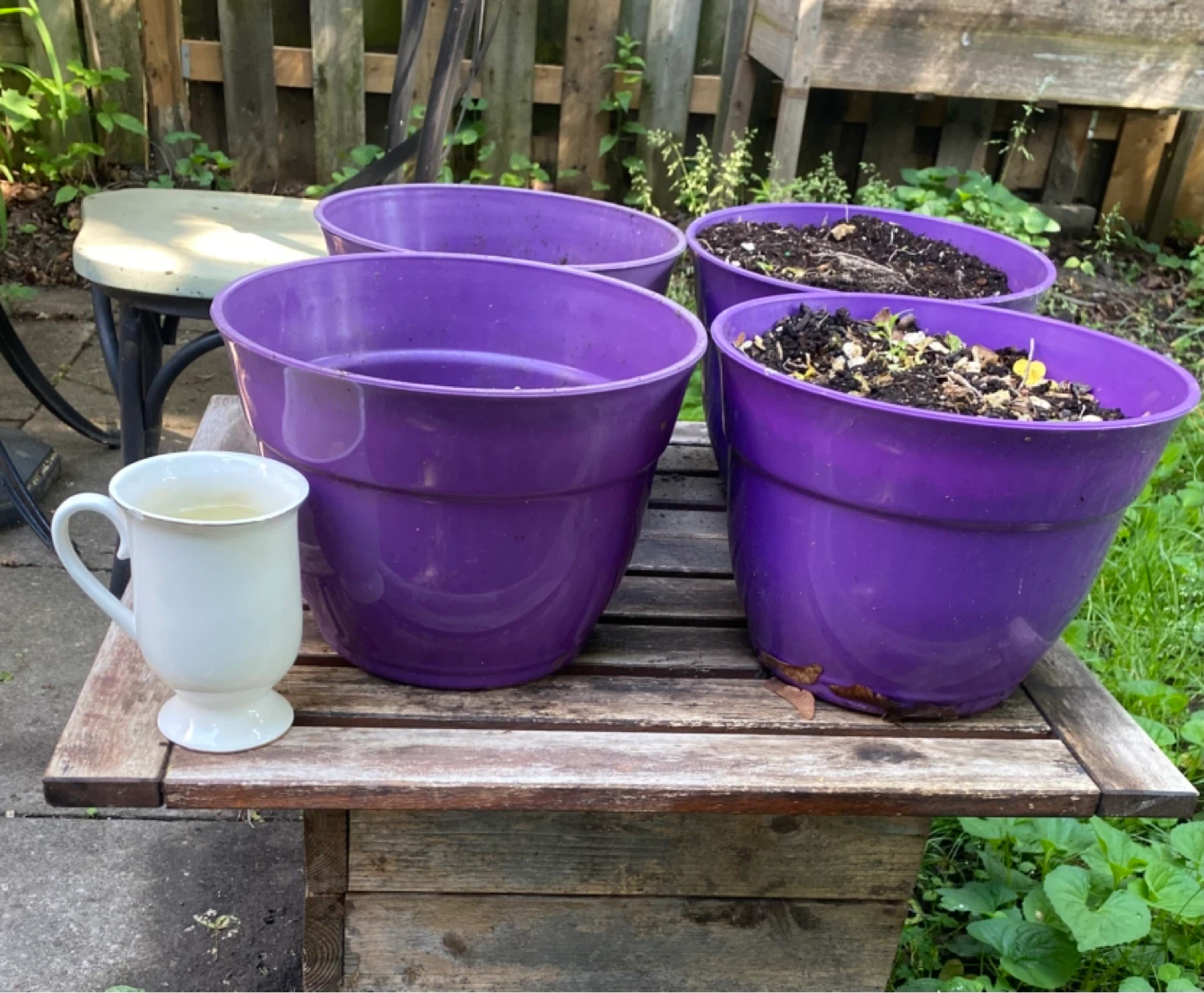 Purple Plastic Planters (Set of 6) - photo 2