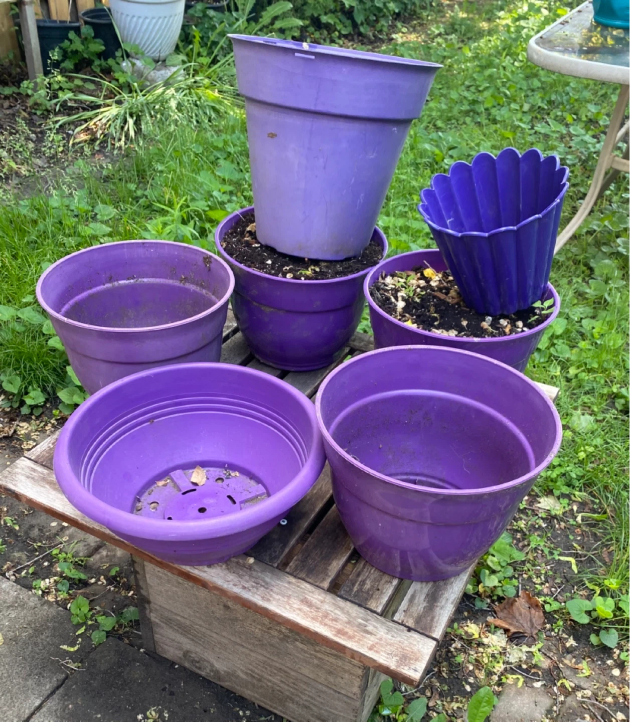 Purple Plastic Planters (Set of 6)