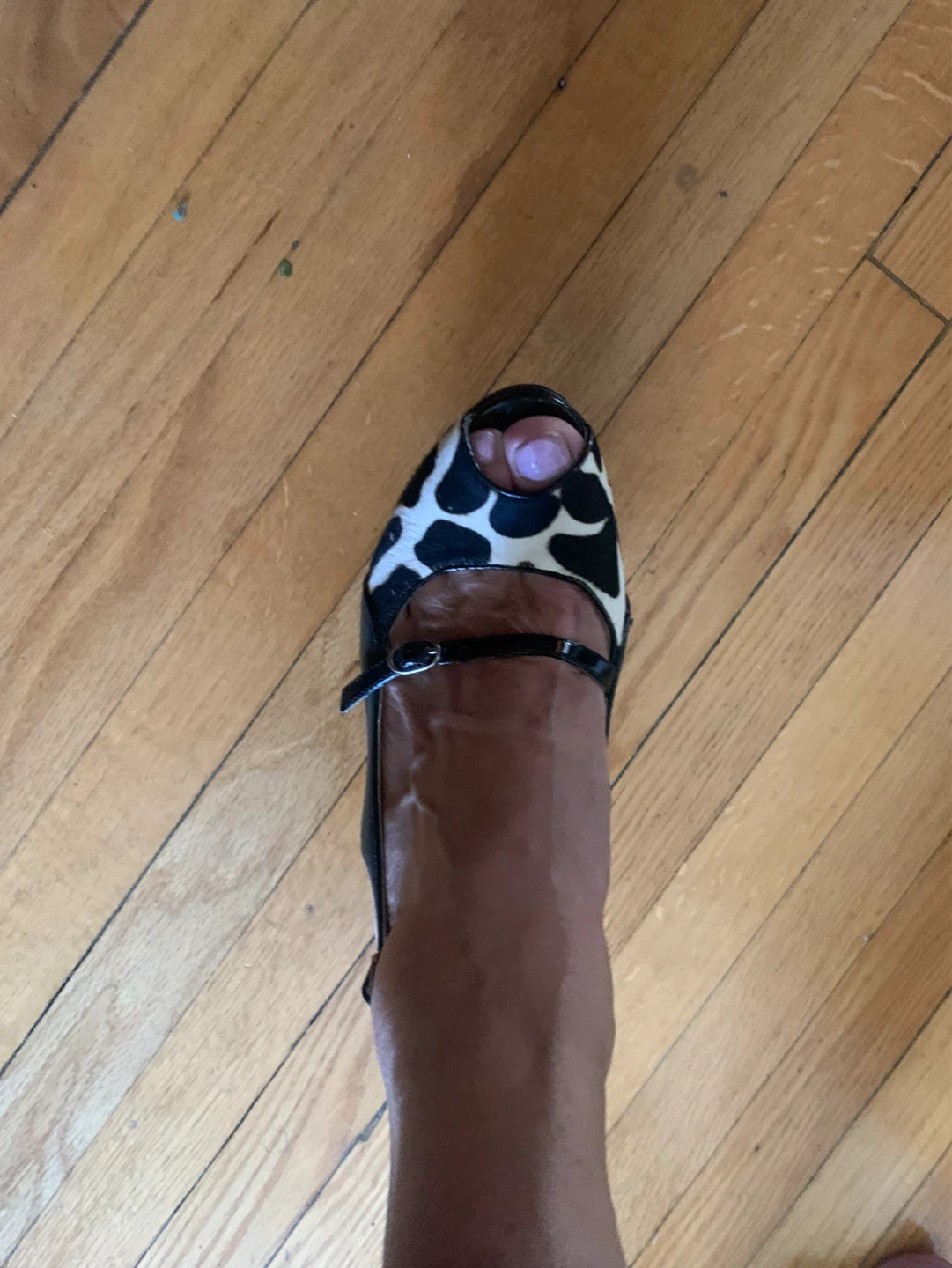 Vianni Collection Black & Cow Print Peep-Toe Heels