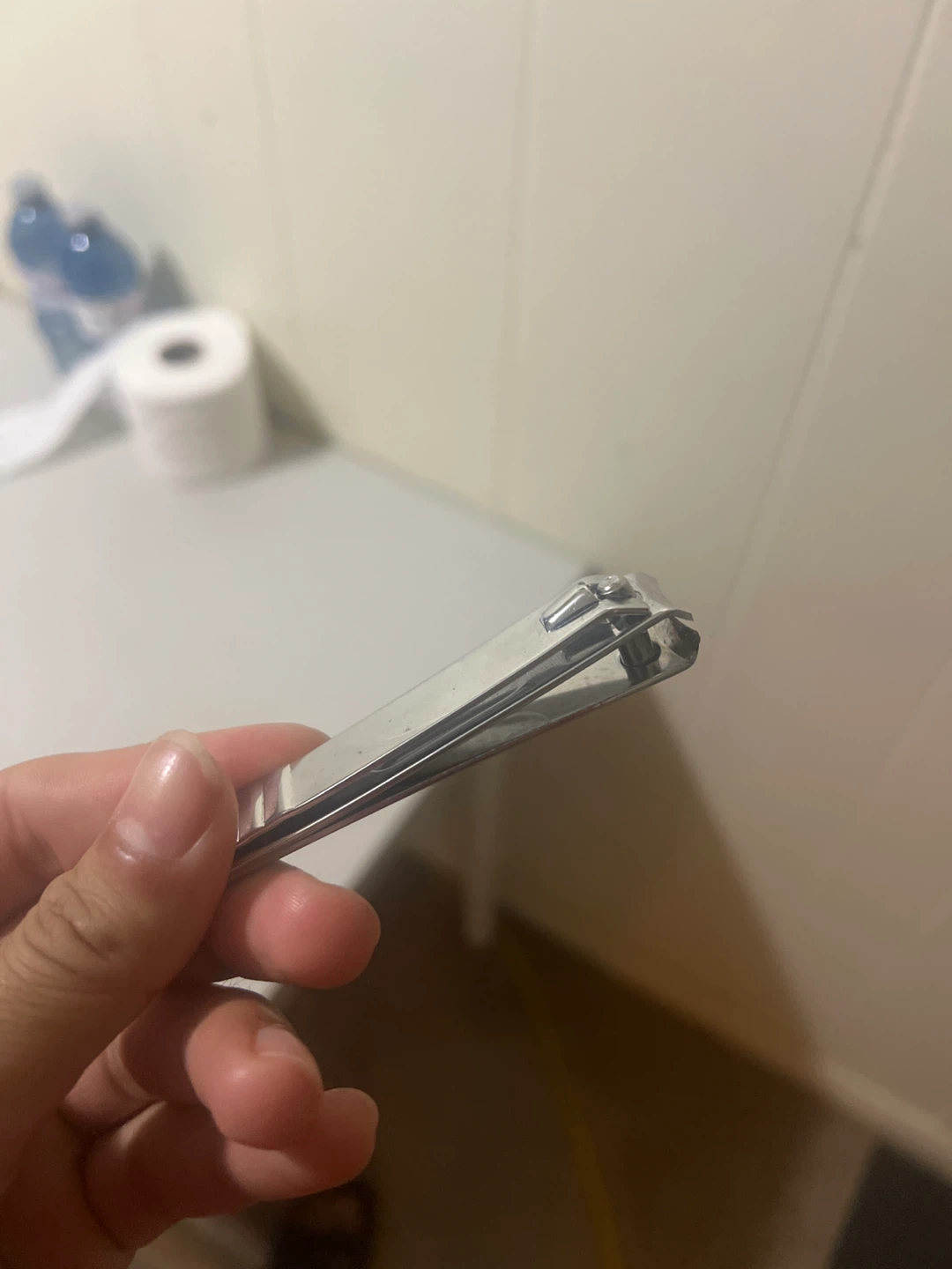 Stainless Steel Nail Clippers
