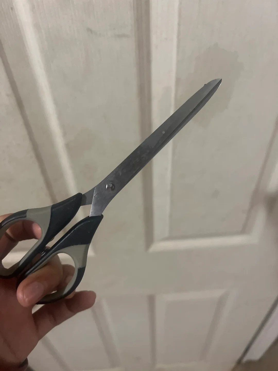 Utility Scissors