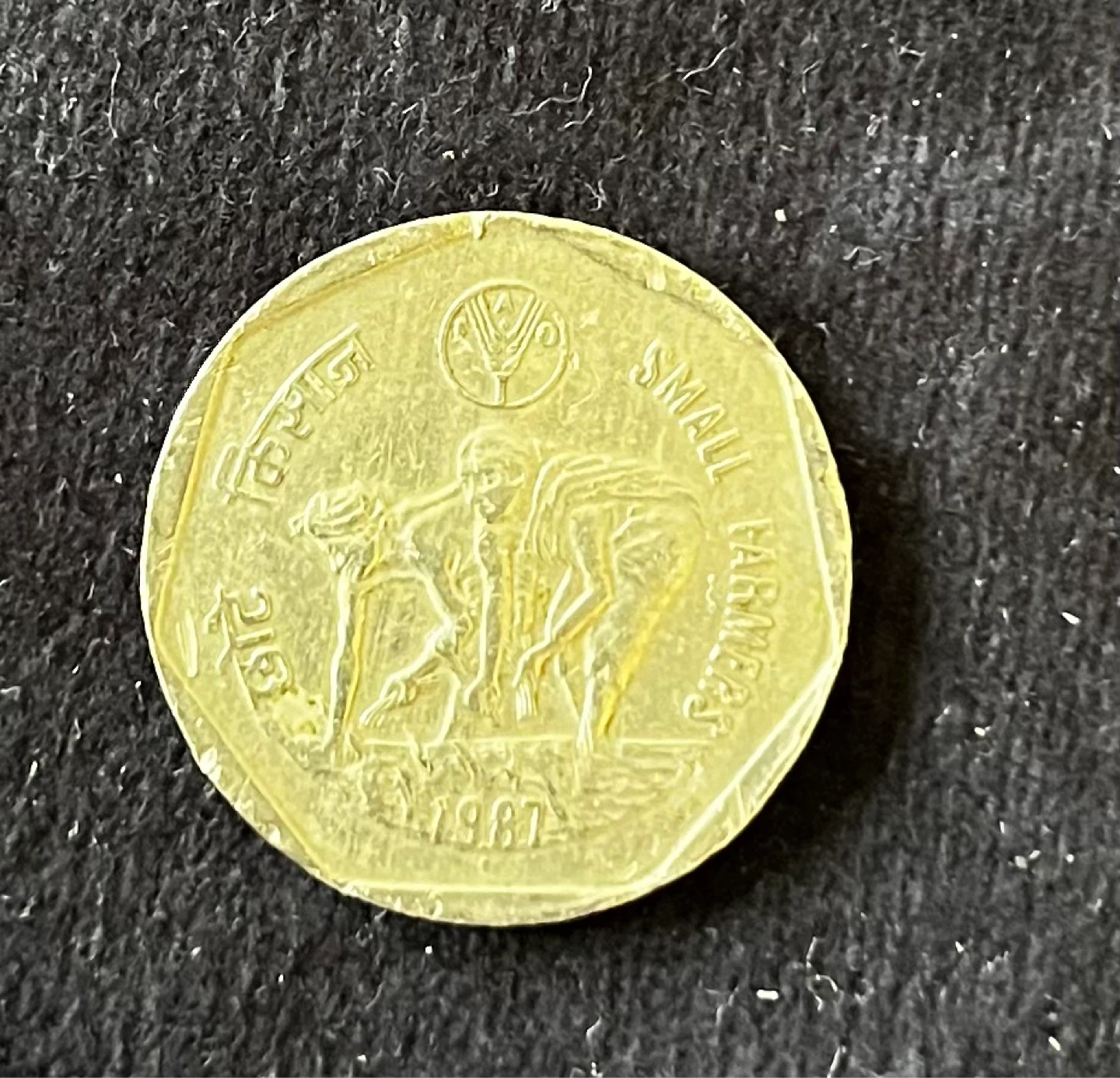 🇮🇳 Small farmers India 1 Rupee Coin 1987