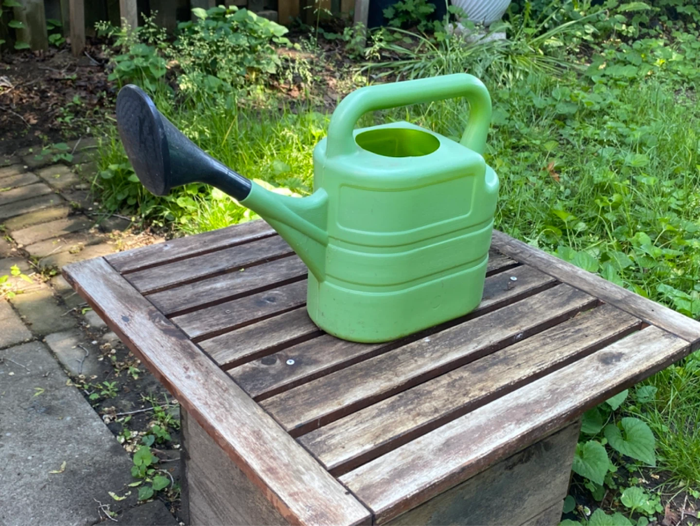 Green Plastic Watering Can - photo 3