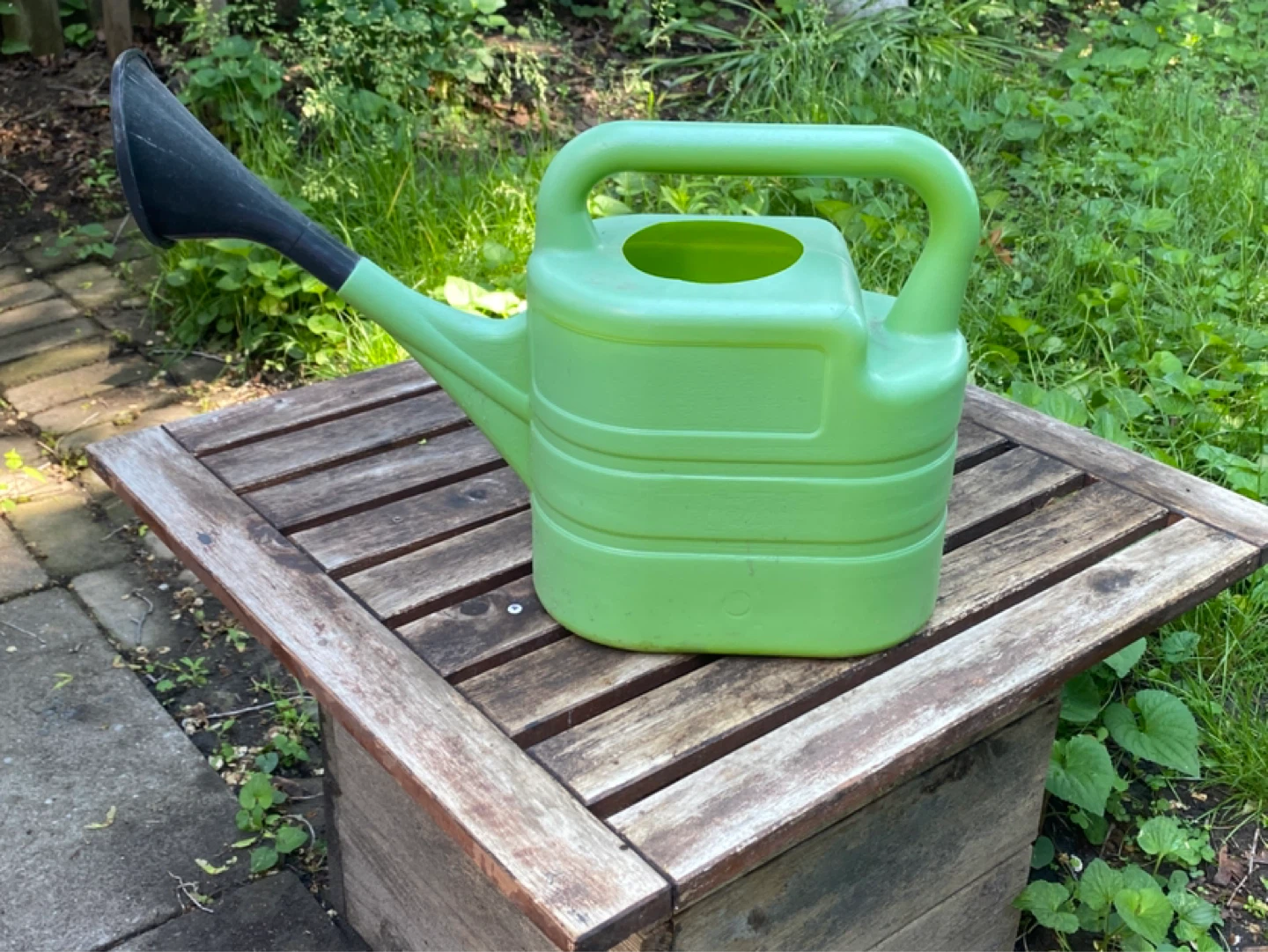 Green Plastic Watering Can