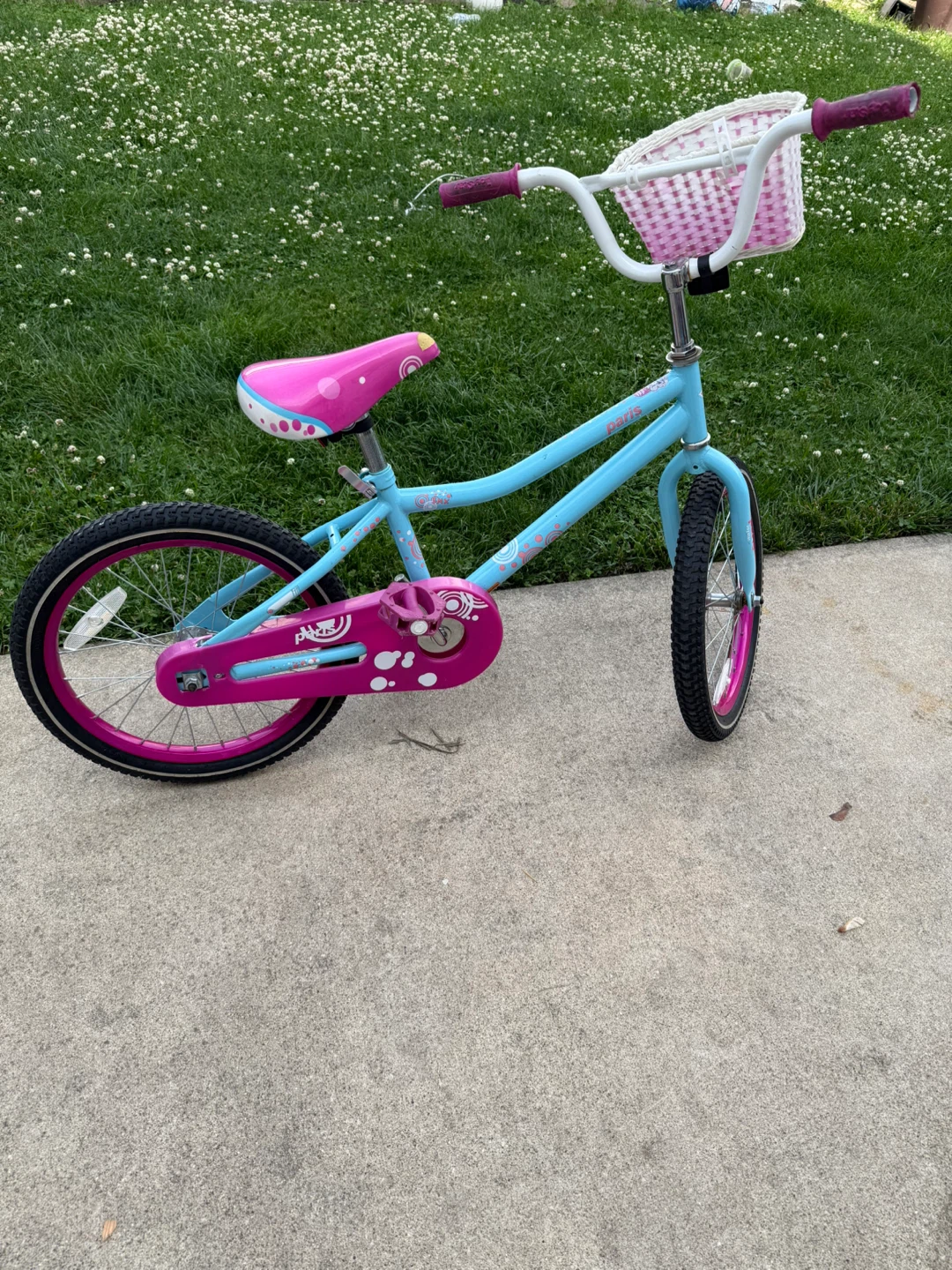 Girls' Blue and Pink Bicycle with Basket