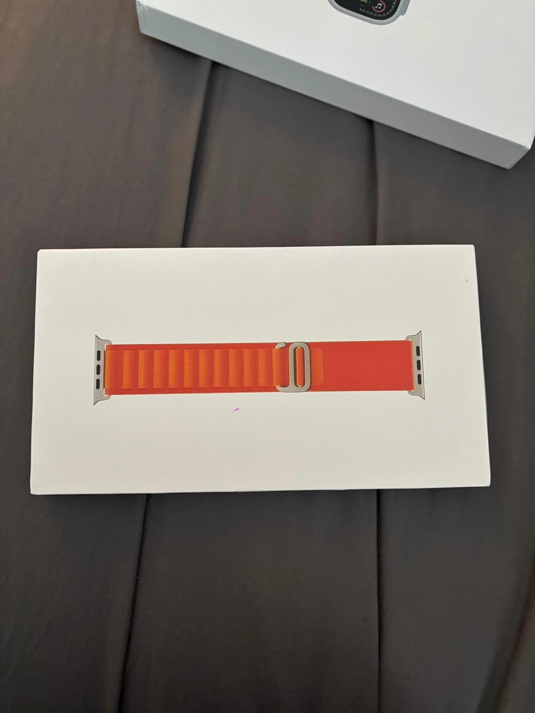 Apple Watch Ultra - photo 5