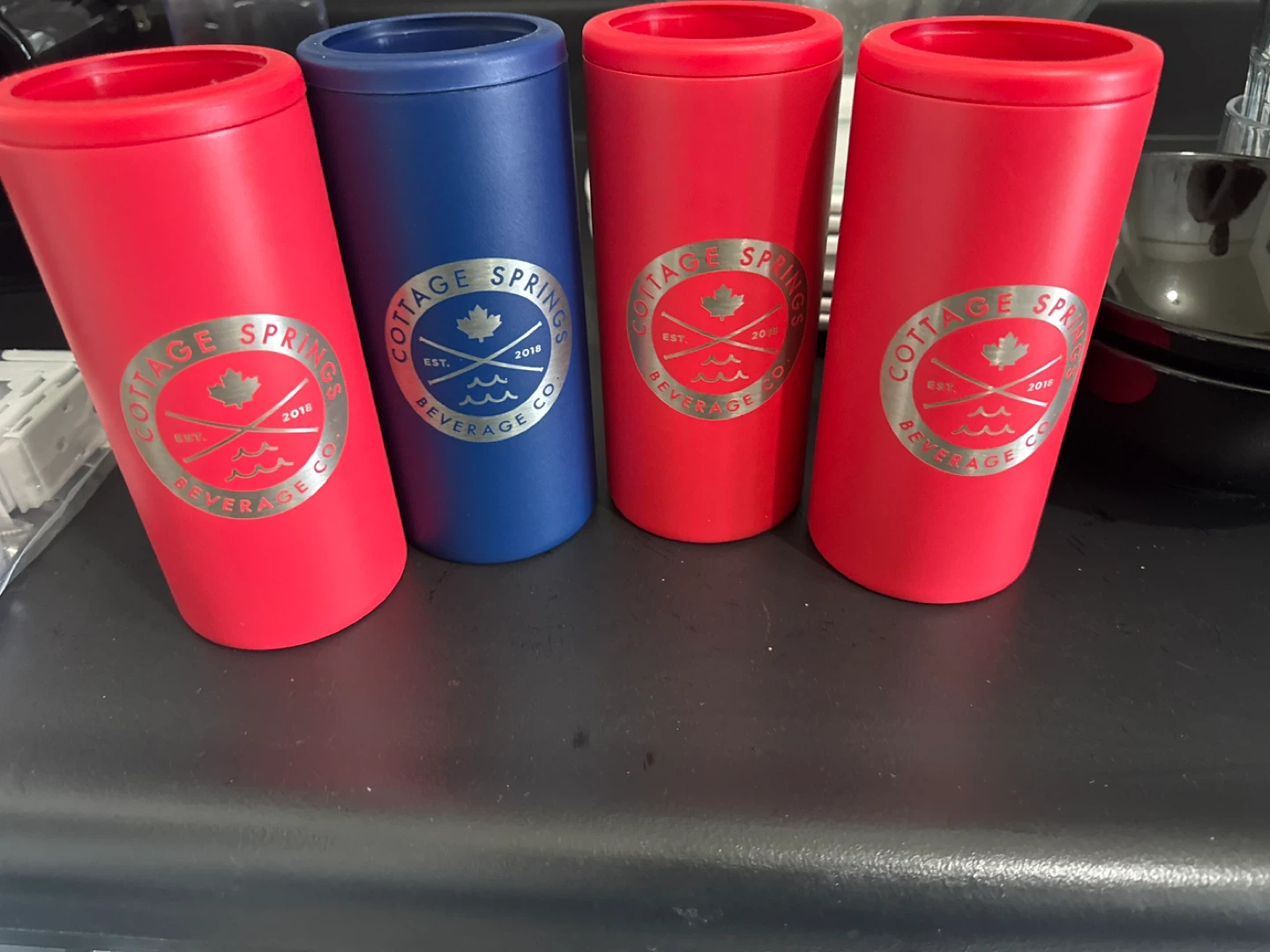 Cottage Springs Beverage Co. Can Coolers (Set of 4)