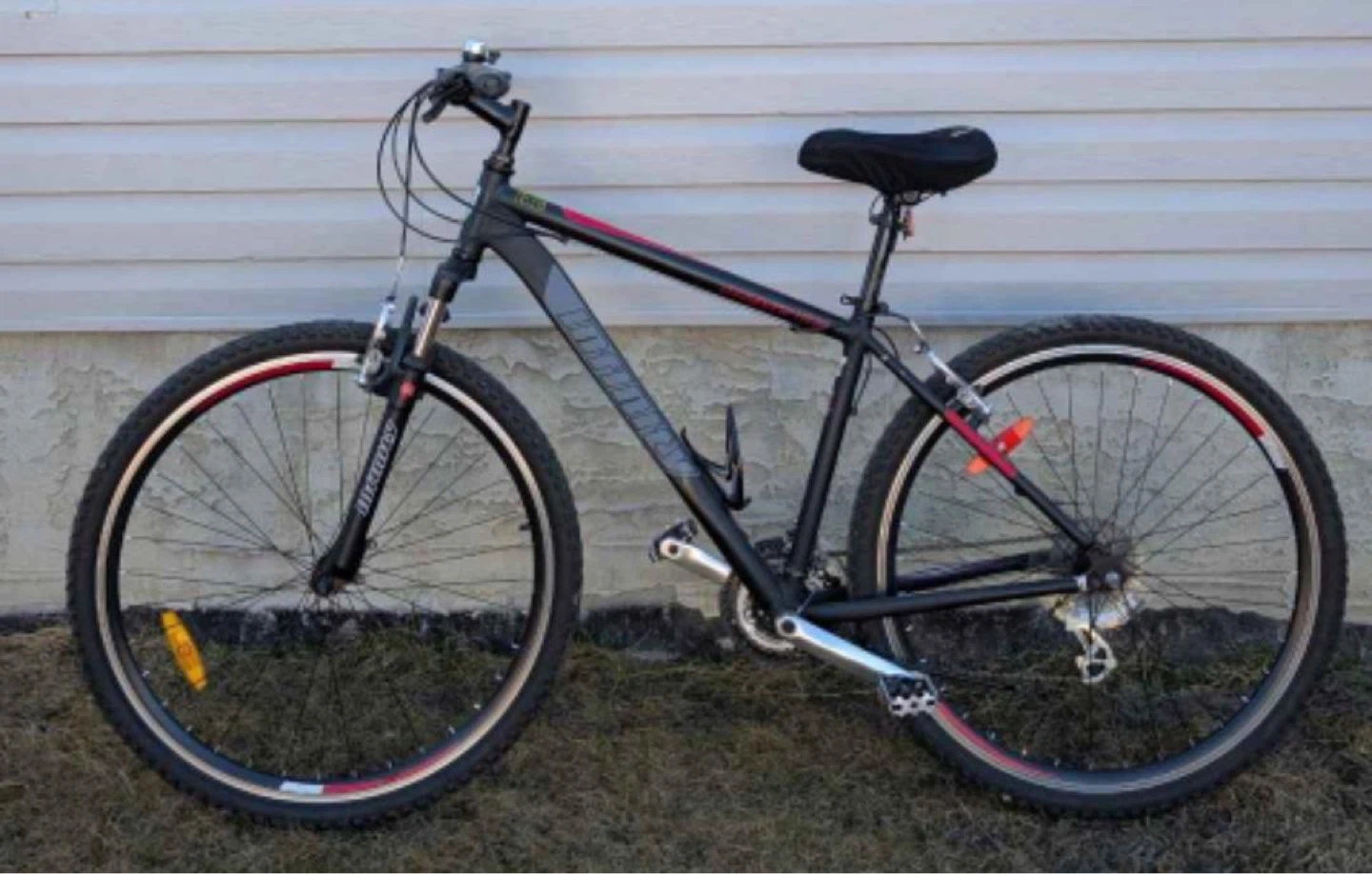 Infinity Quicksilver Mountain Bike