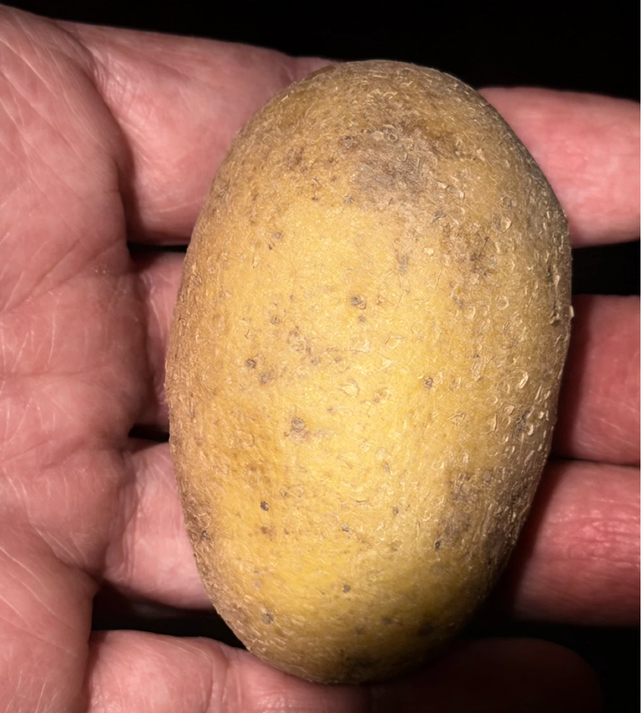 Free Small Potatoes FCFS - photo 3