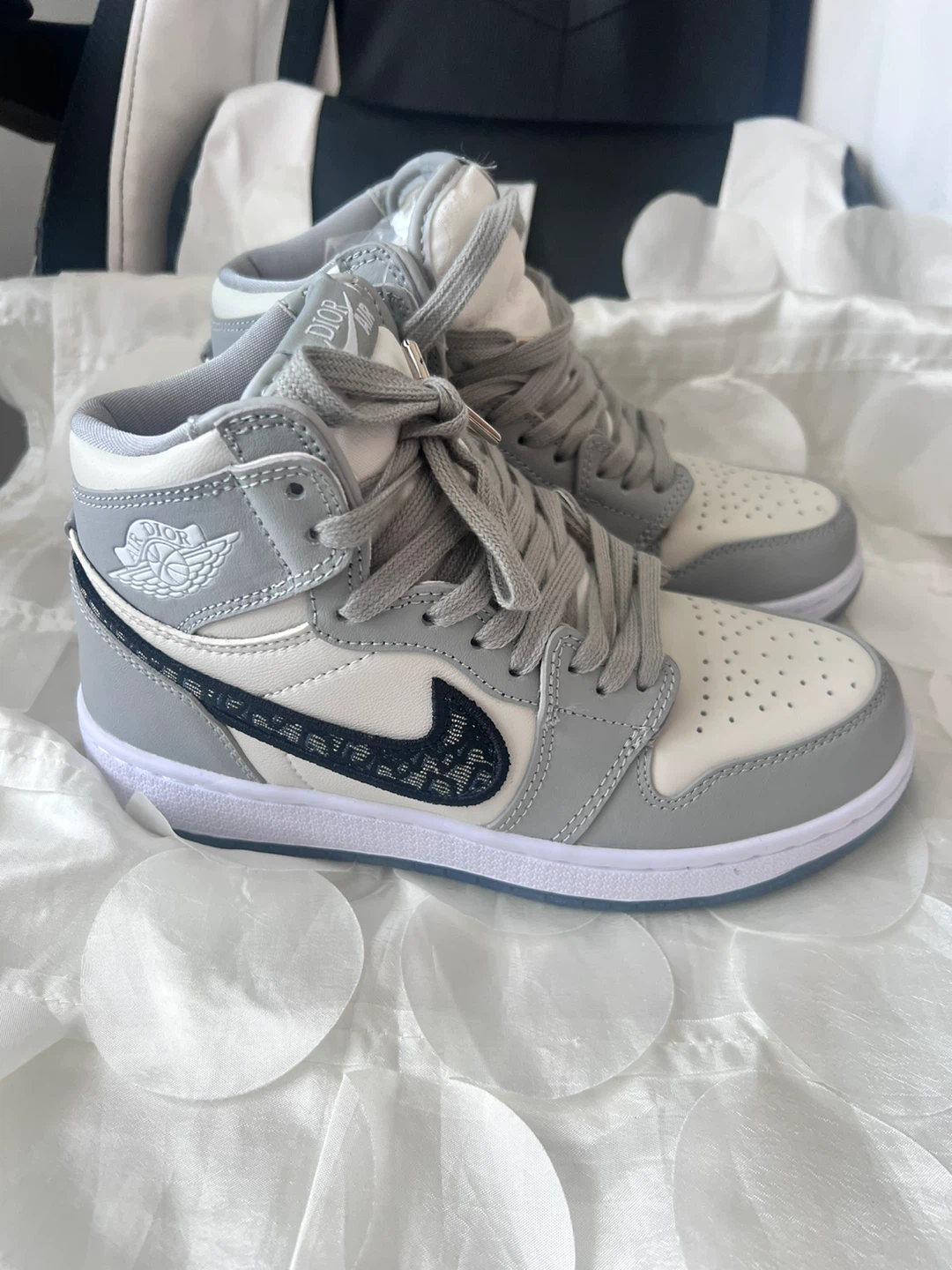 Air Jordan 1 High OG Dior inspired