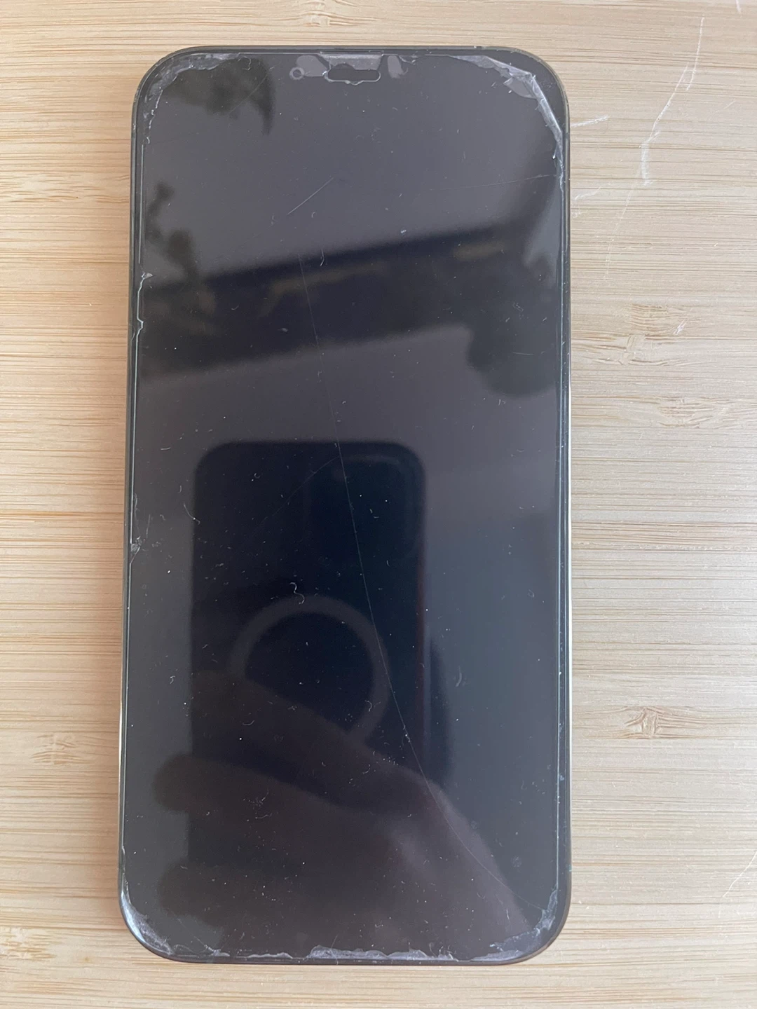 iPhone 13 Pro Max READ DESCRIPTION