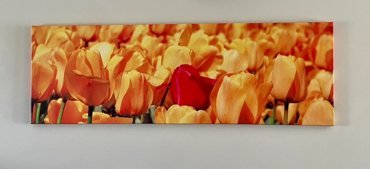 Canvas Wall Art -- Quick Moving Sale