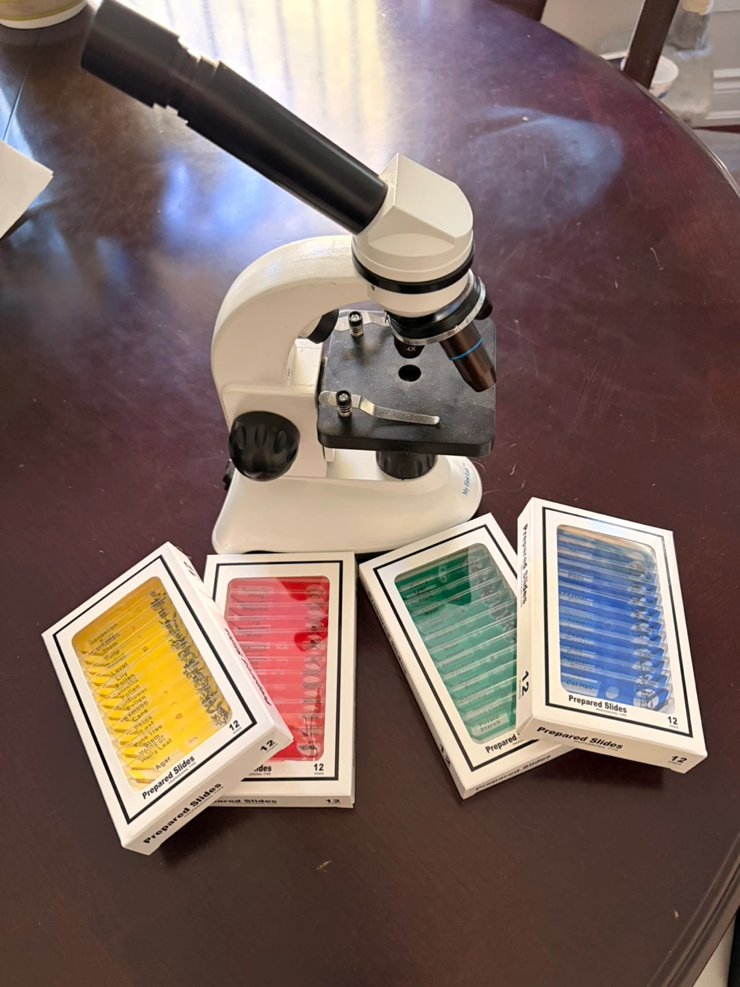 Microscope with Prepared Slides Set