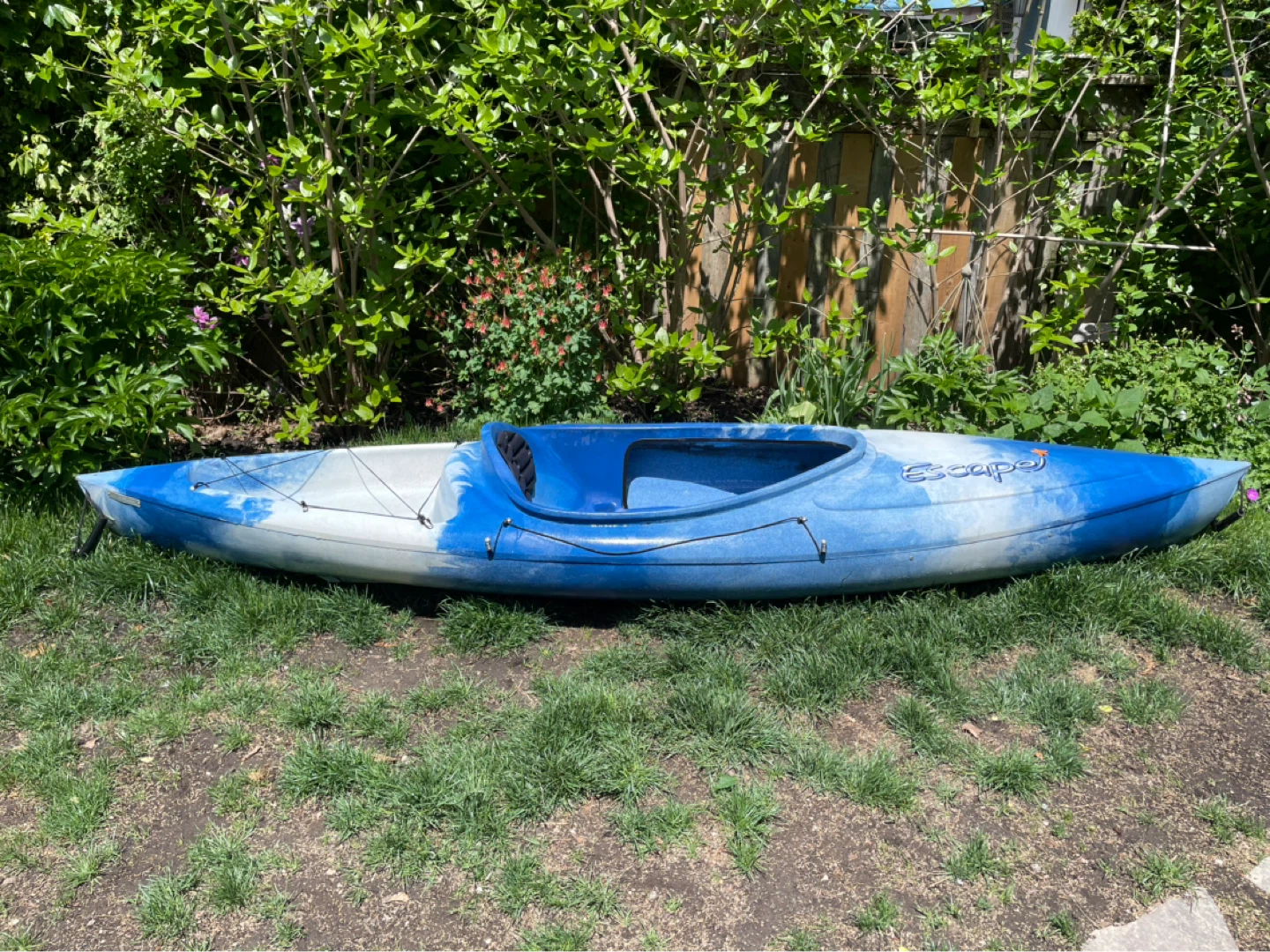 Kayak with Paddle