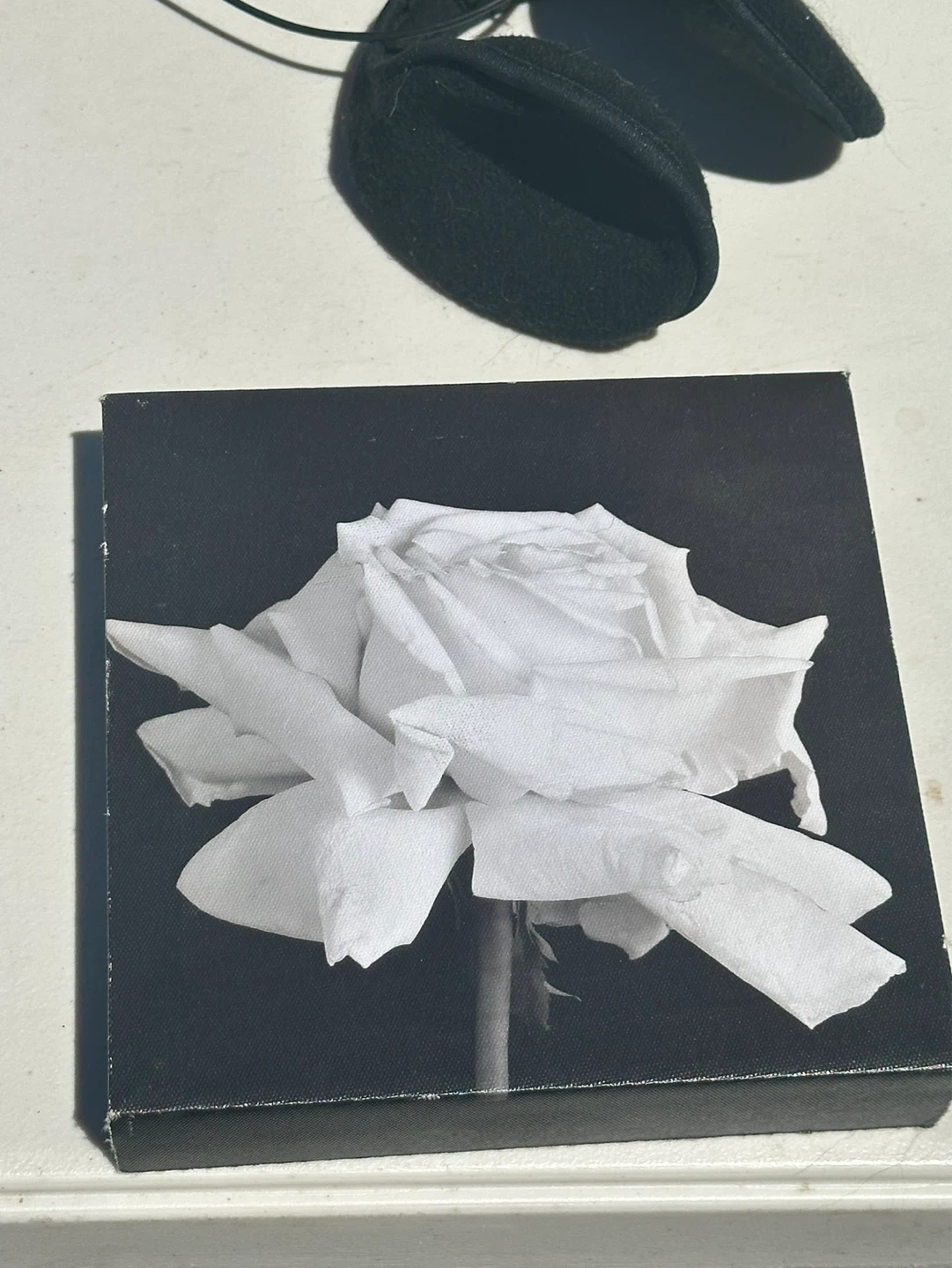 Black and White Rose Canvas Art