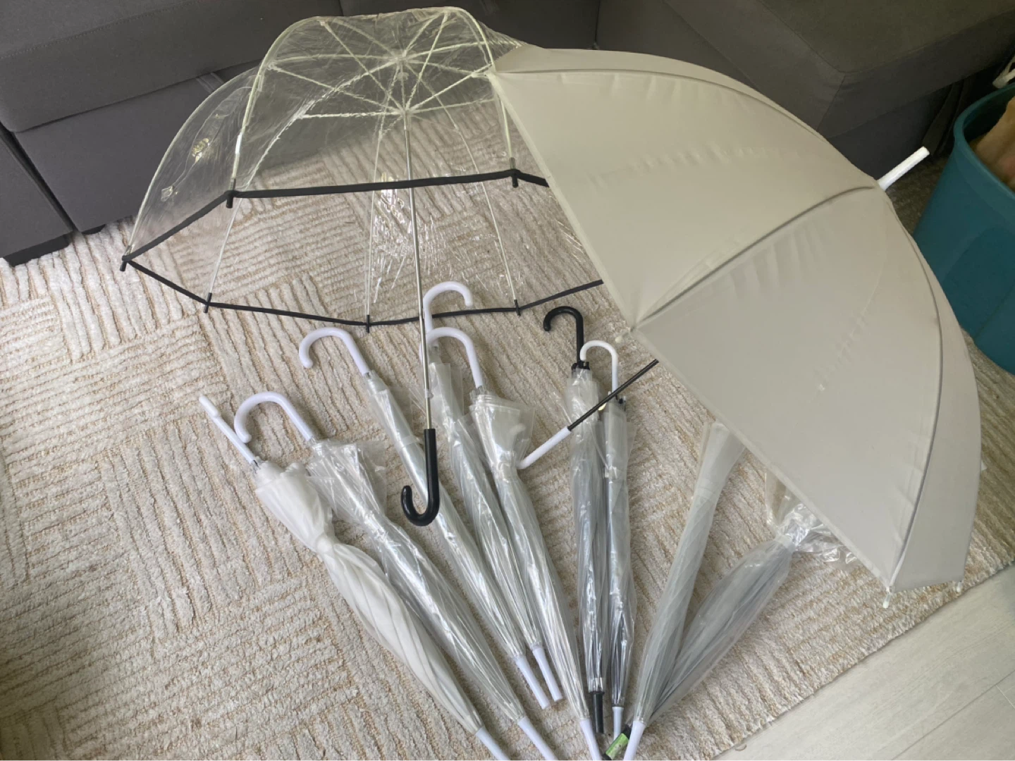 Pack of Clear and White Umbrellas