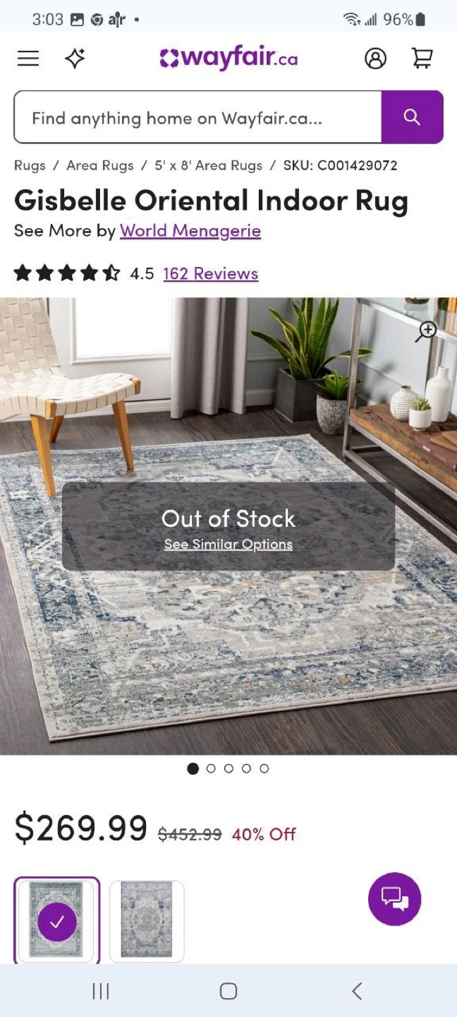 World Menagerie Gisbelle Oriental Indoor Rug 5' x 8' - photo 3