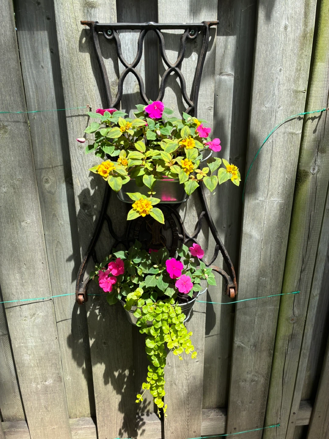 1905 hanging flower basket