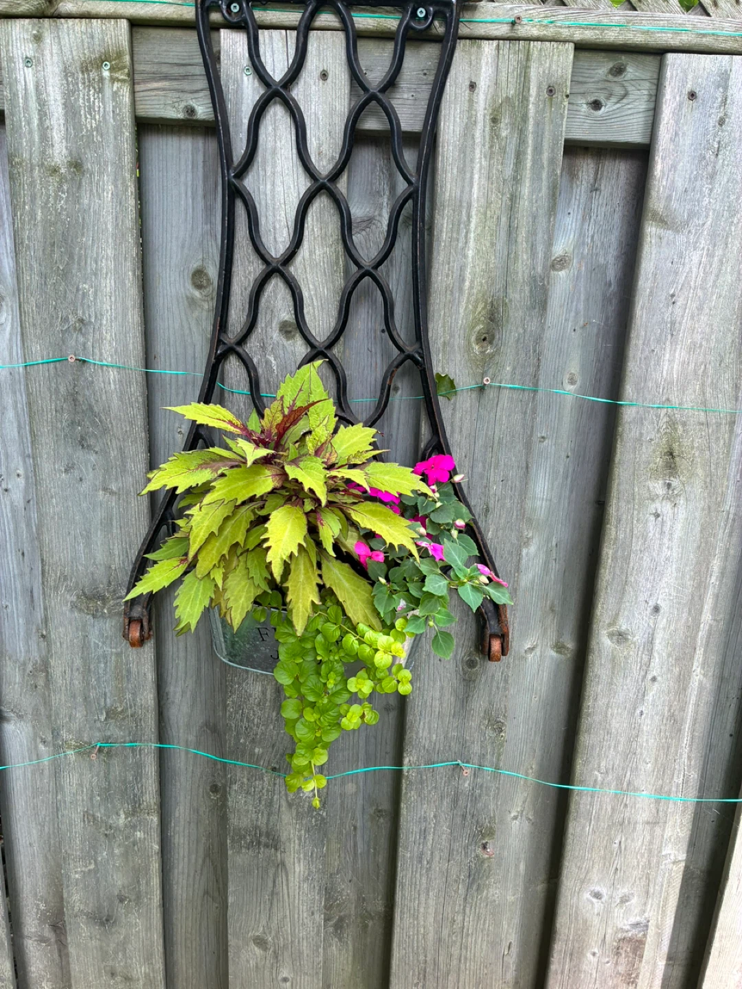 1905 hanging flower basket - photo 2