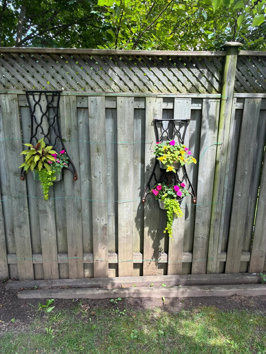 1905 hanging flower basket - photo 3