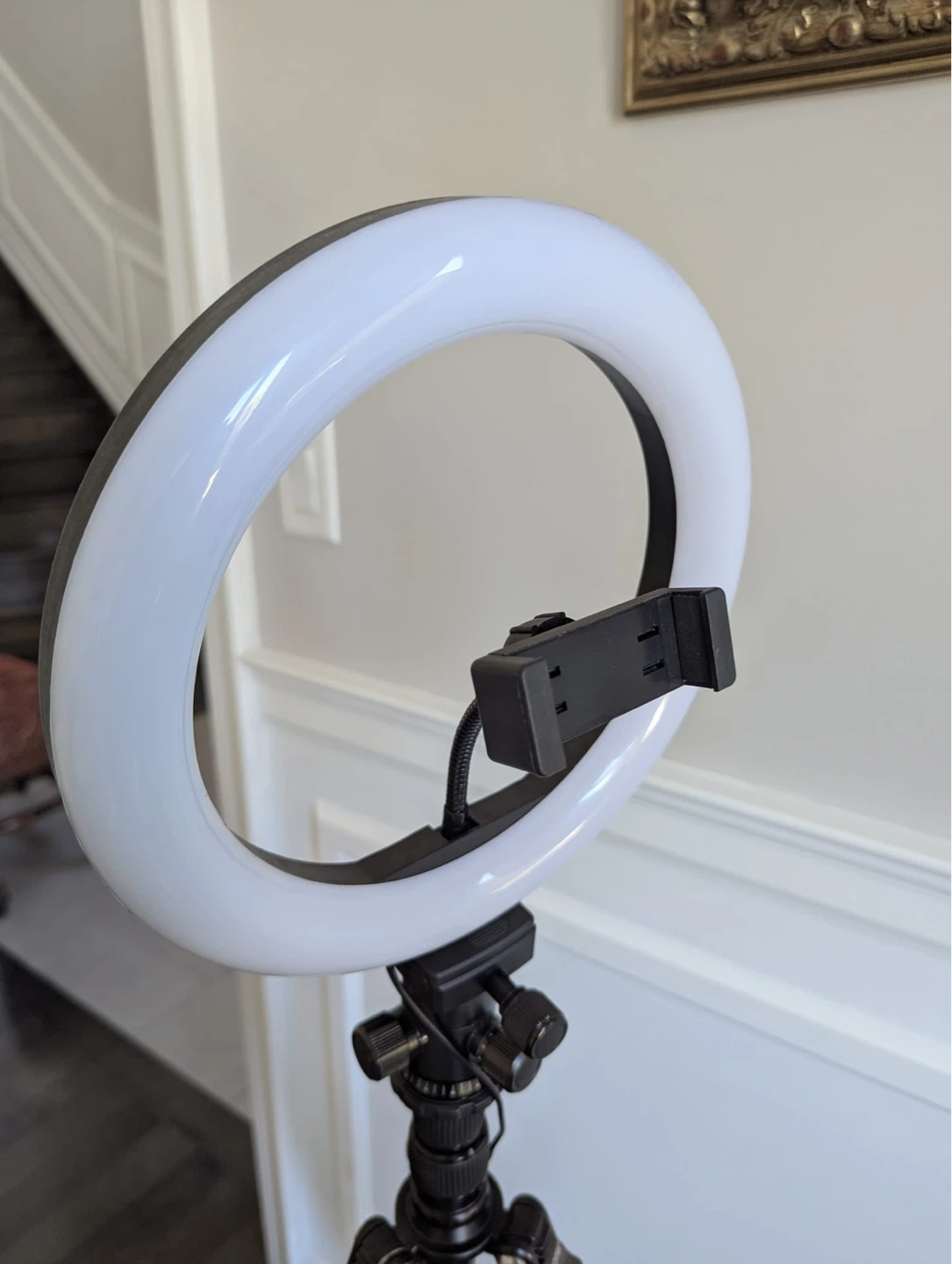 Ring Light with Phone Holder