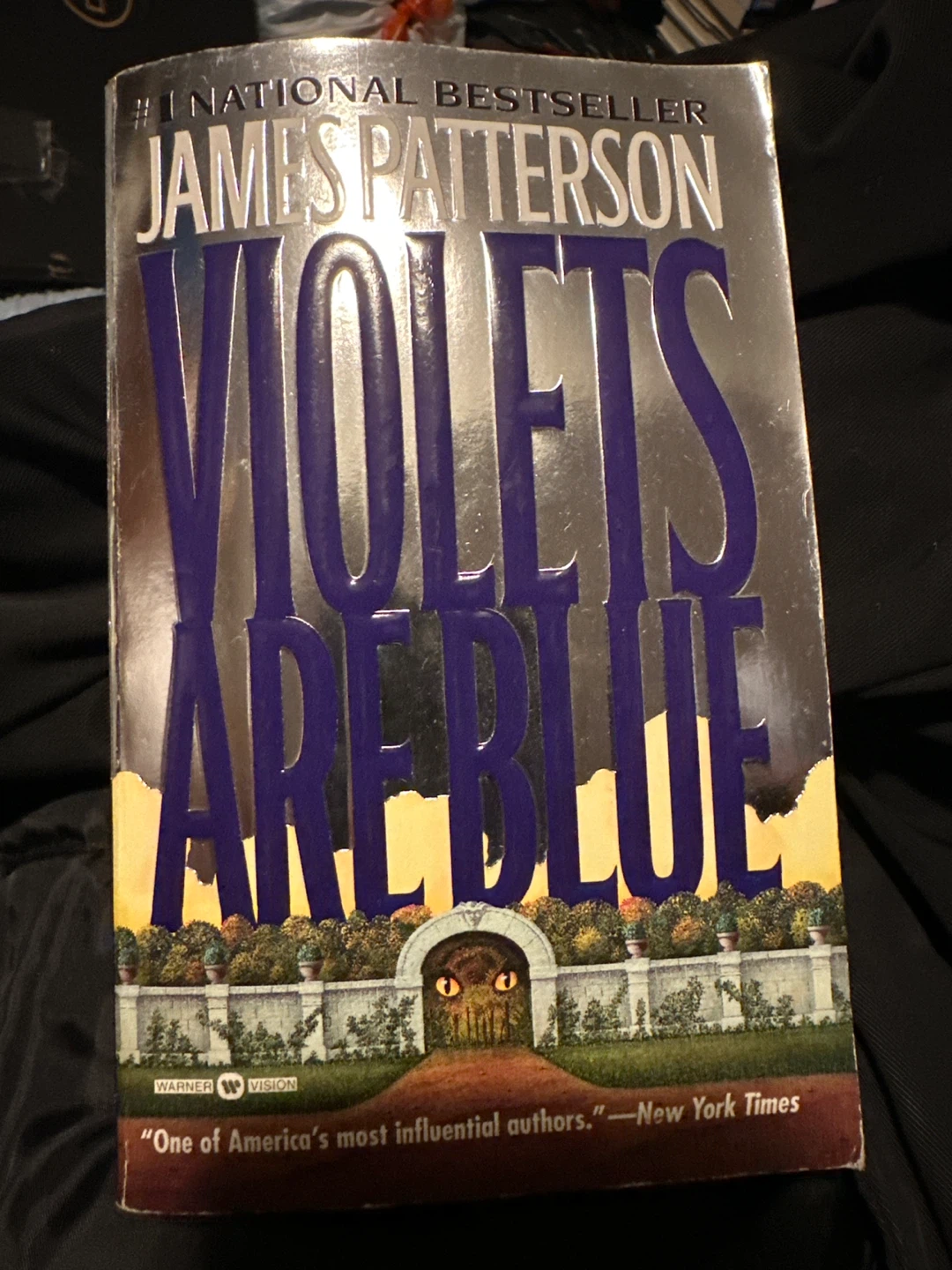 Violets Are Blue by James Patterson Paperback Book