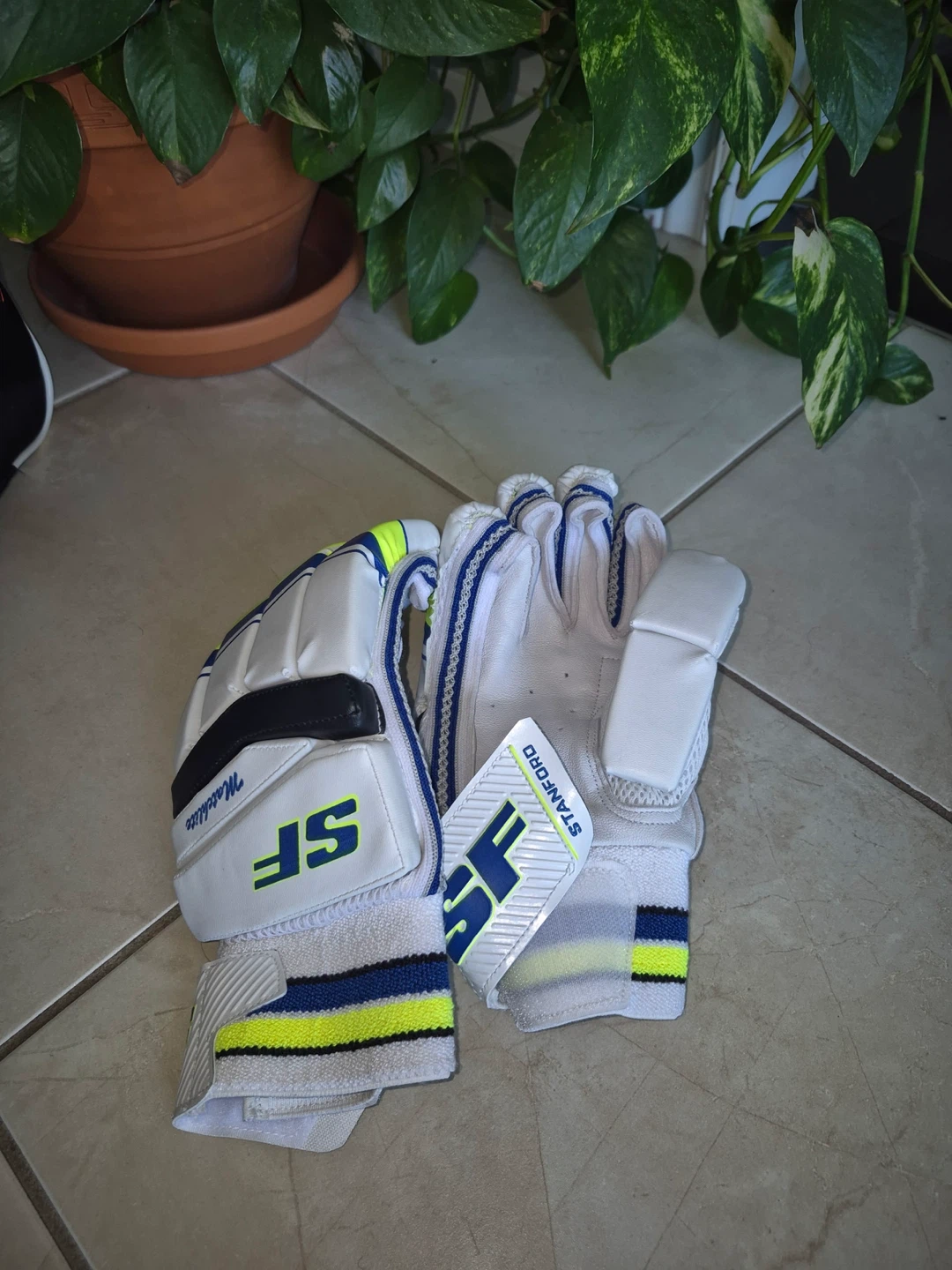 SF Stanford Cricket Protective Gear Set without Bat