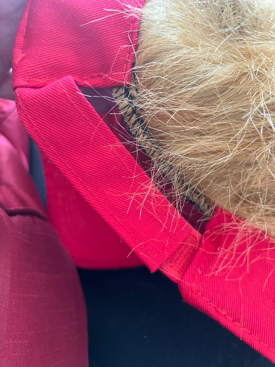 Red Trump Hat 😅 Gag Gift 🆕SET OF 3 Hat with Hair! - photo 5
