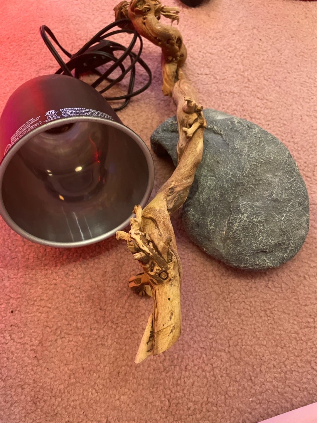 Terrarium Heat Lamp Fixture and Natural Wood/Rock Decor