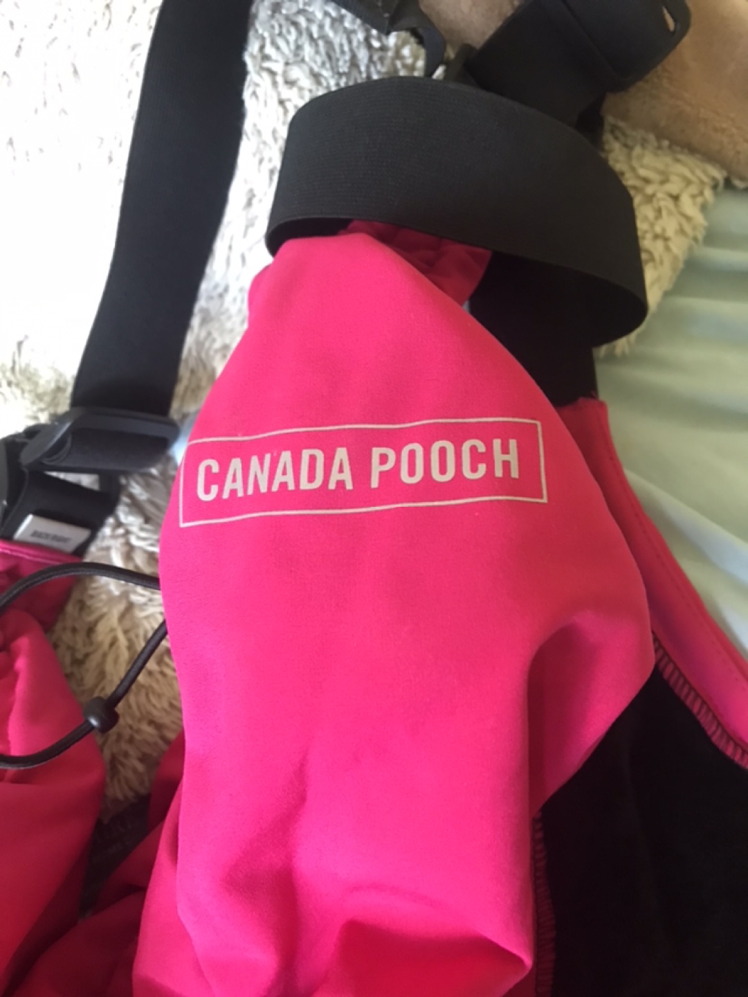 Canada Pooch Dog Jacket Size 6 - photo 2