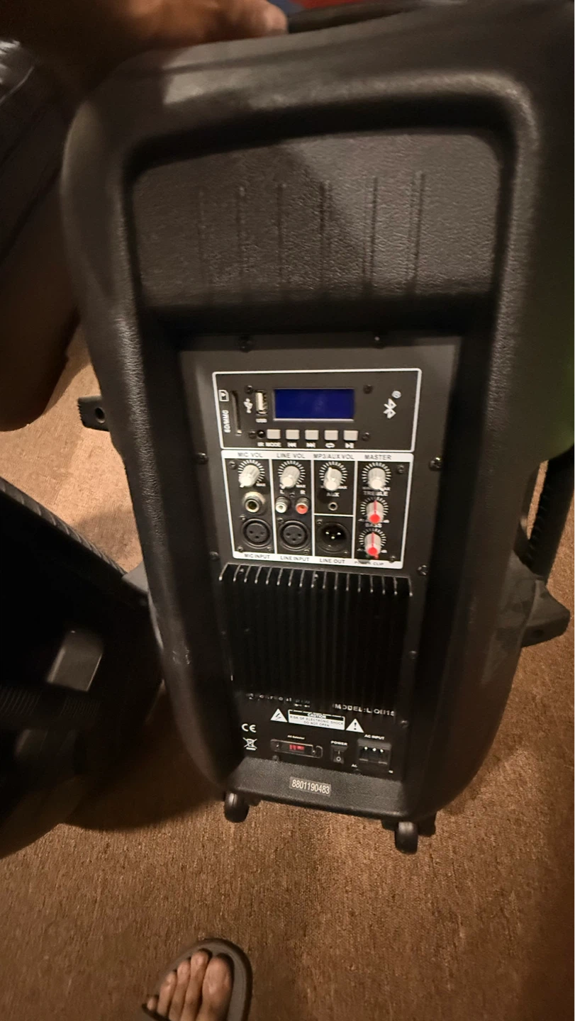 Pair of Powered PA Speakers lion model 15 - photo 4