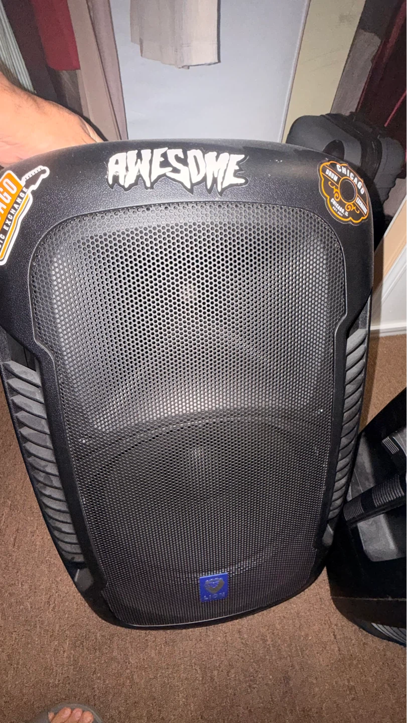 Pair of Powered PA Speakers lion model 15 - photo 2