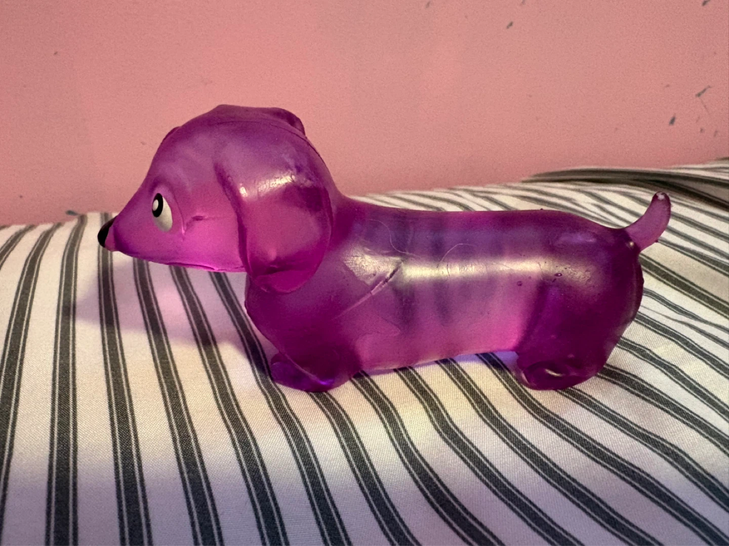 Sugar filled dog squishy
