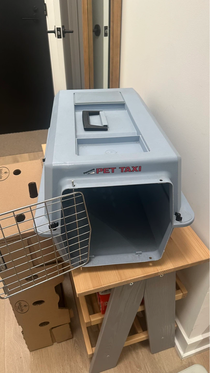 Pet Taxi Pet Carrier
