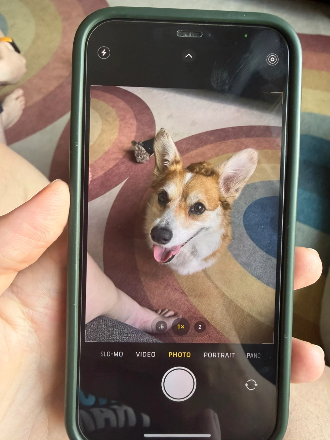 Apple iPhone 12 Pro - 128GB - photo 5