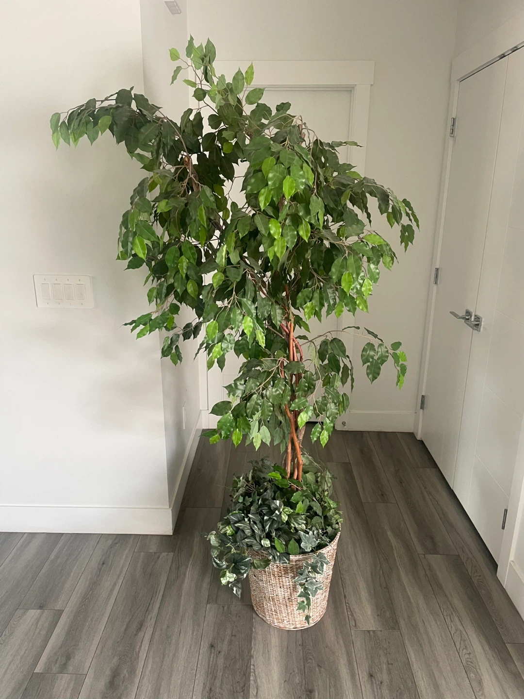 Artificial Ficus Tree