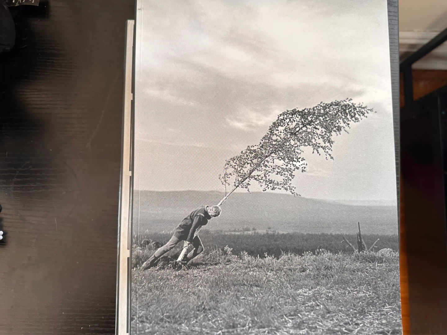 Ingmar Bergman's Cinema (Criterion Collection) - BLU-RAY - photo 4