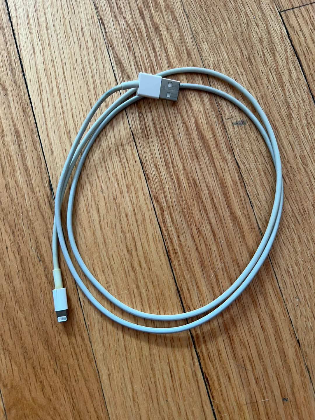 Usb and lightning cable old apple charger
