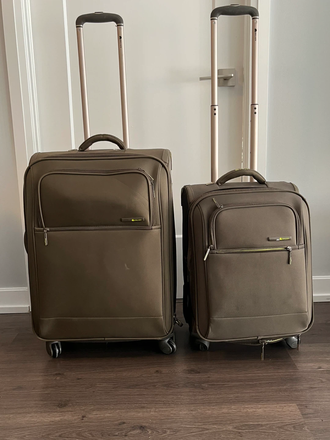 Delsey Luggage