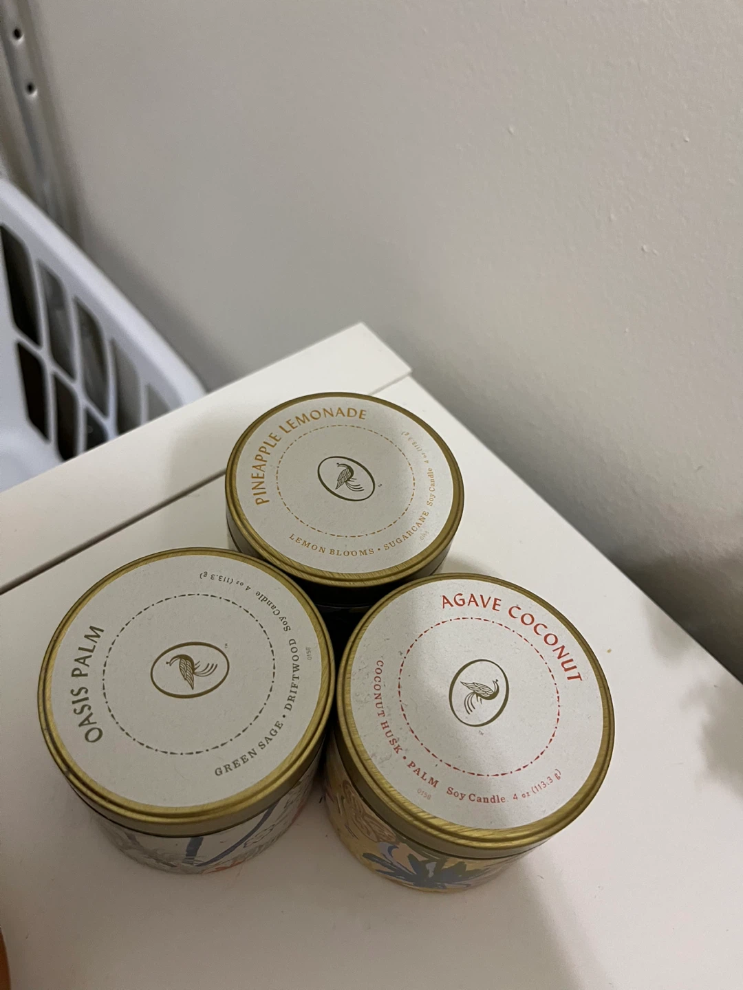 Oasis Palm Soy Candles Set - photo 2