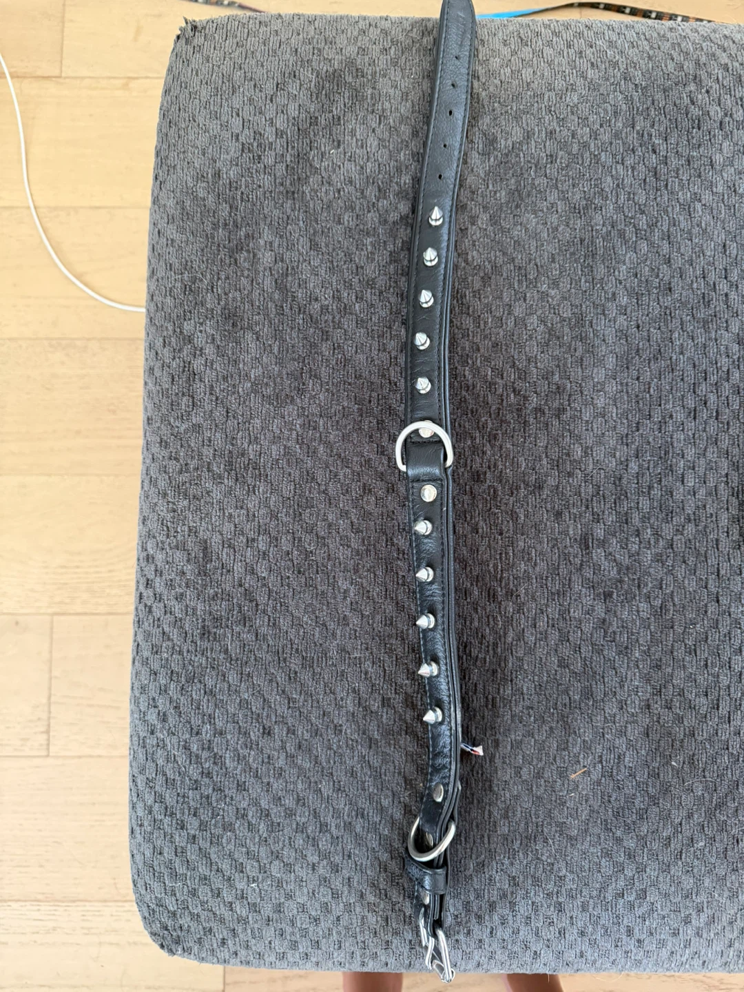 Black Dog Collar