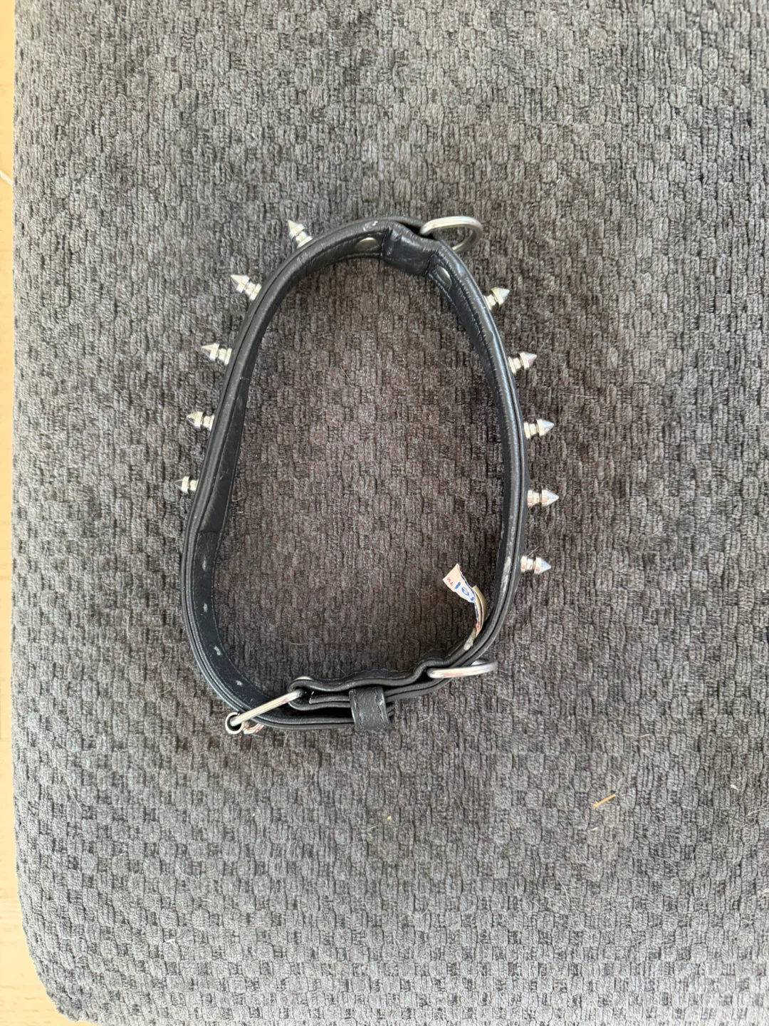 Black Dog Collar - photo 2