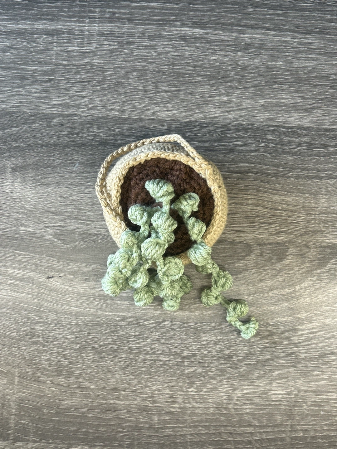 Crocheted String of Pearls Plant
