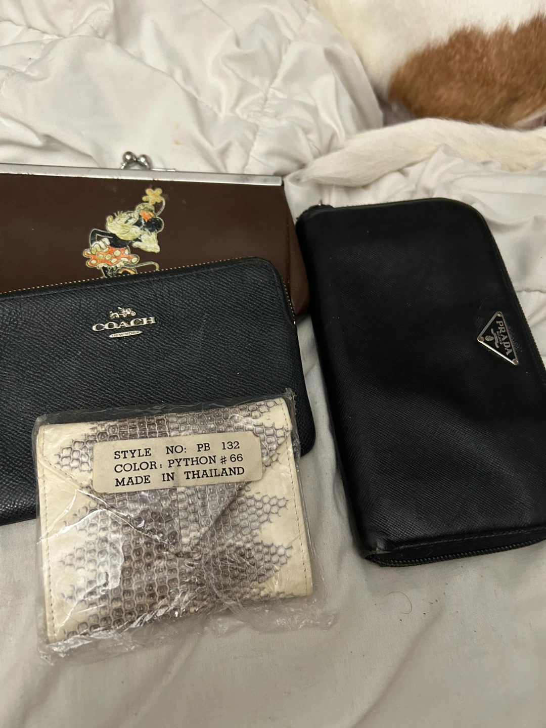 Coach and Prada Wallets, Disney Clutch, Python Wallet
