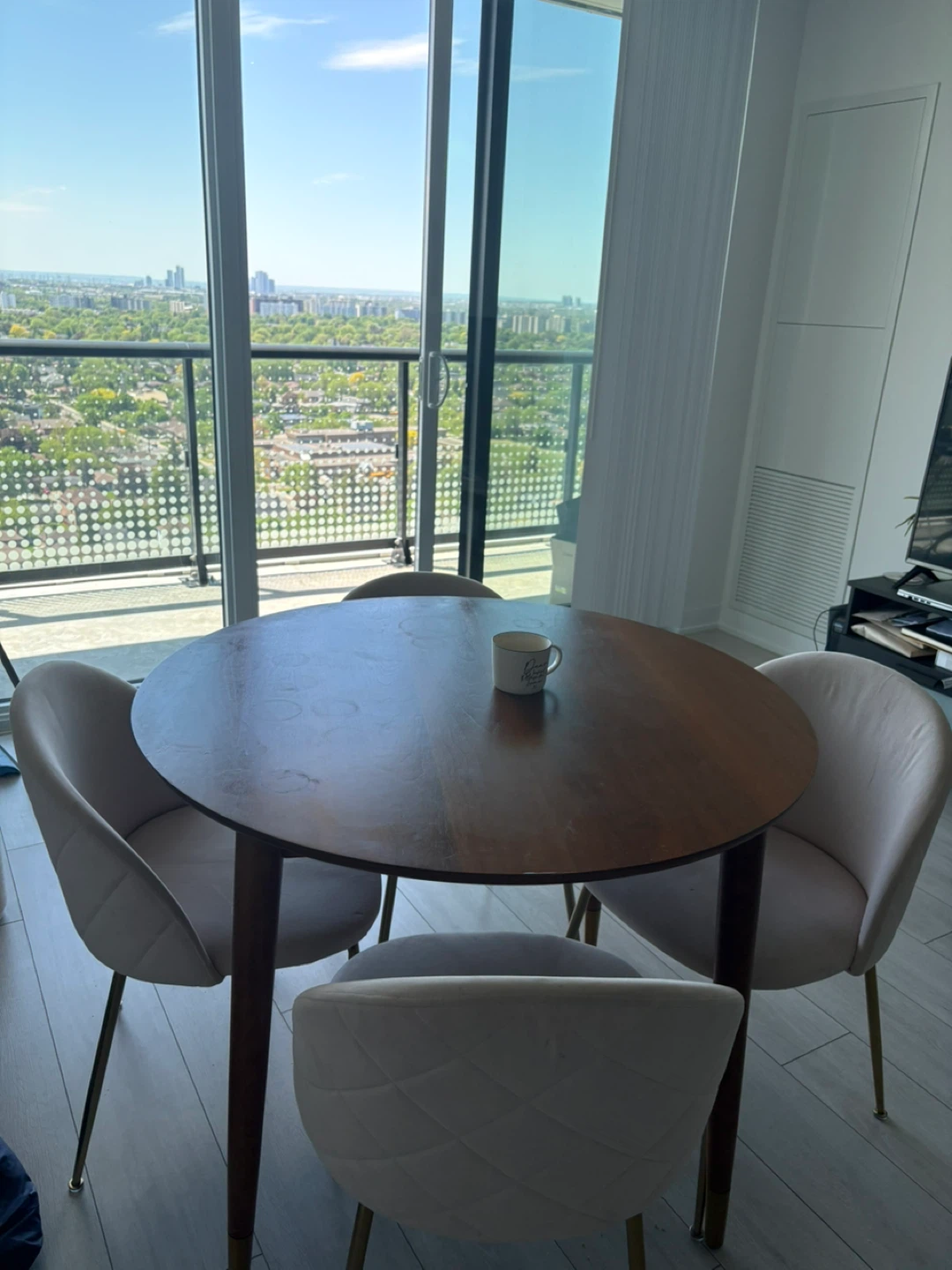 Pink Velvet Dining Chair - photo 3
