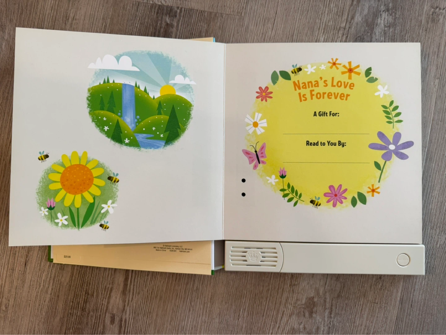 Hallmark Nana's Love Is Forever Recordable Storybook - photo 3