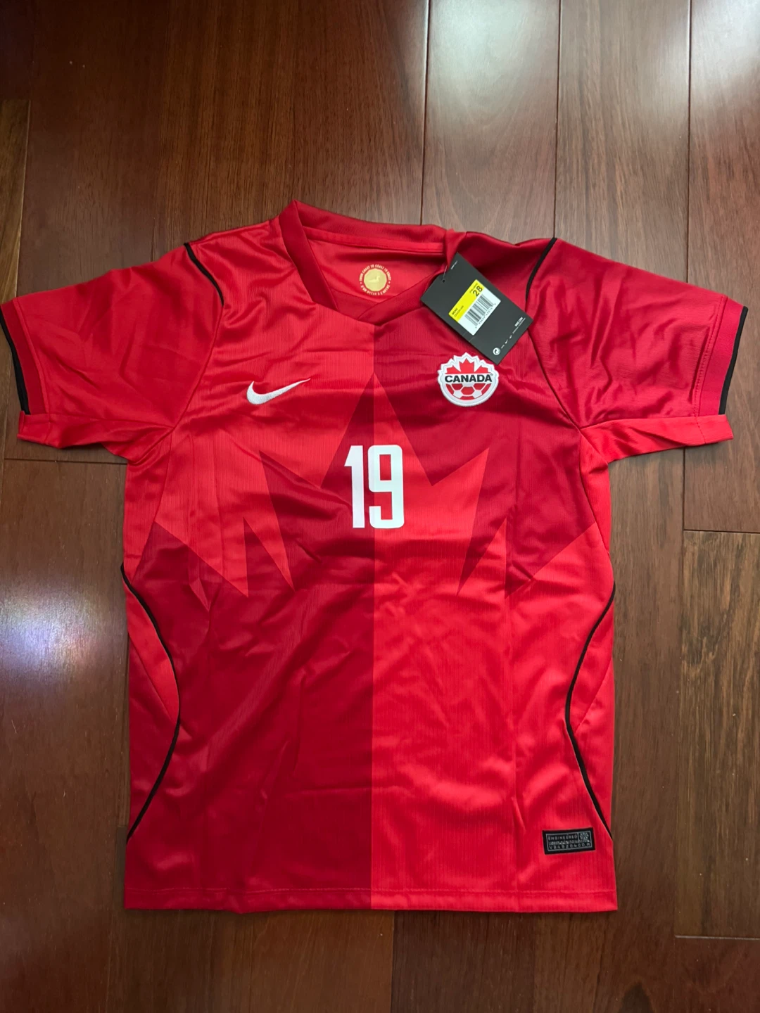 Alphonso Davies Jersey