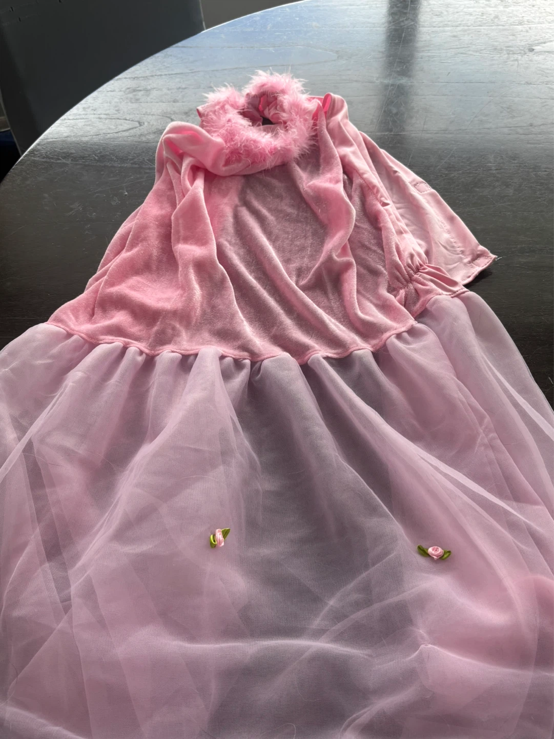 Princess Dog Costume