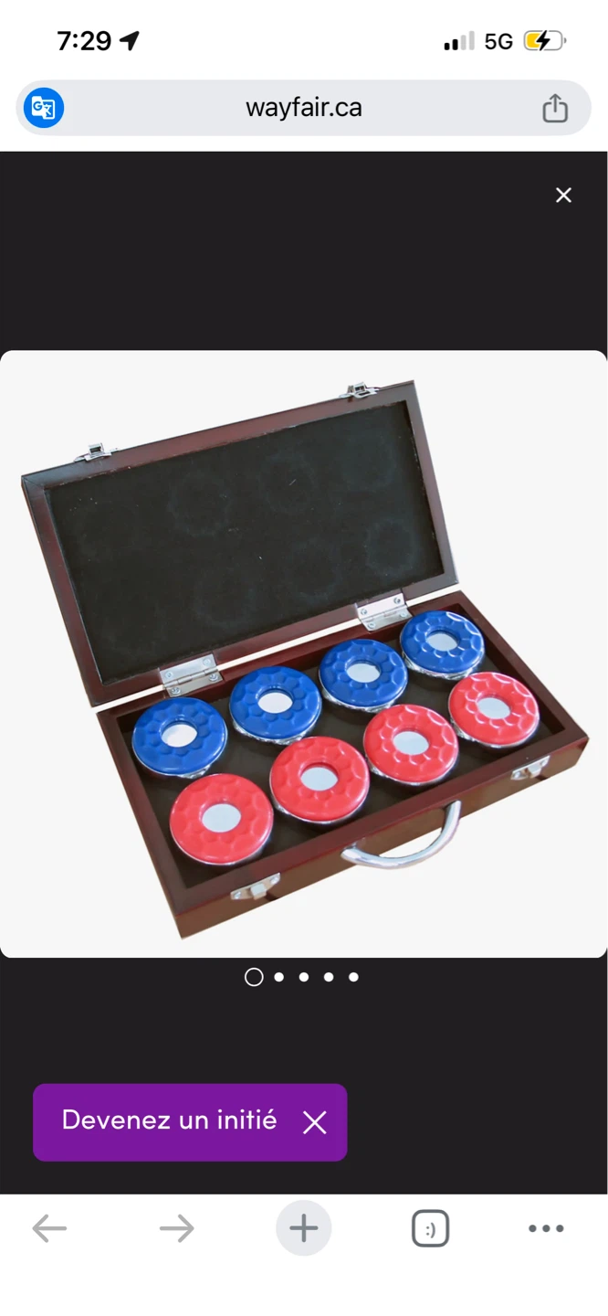 New Shuffleboard Pucks Set