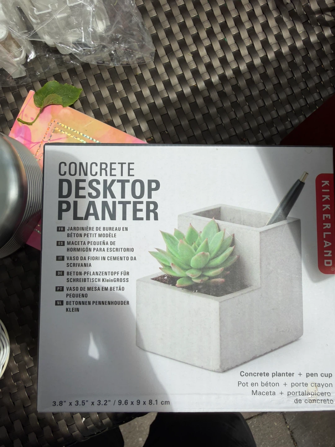 Kikkerland Concrete Desktop Planter + Pen Cup